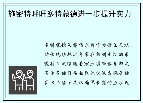 施密特呼吁多特蒙德进一步提升实力