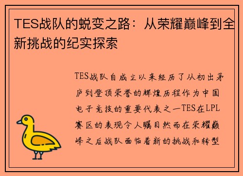 TES战队的蜕变之路：从荣耀巅峰到全新挑战的纪实探索