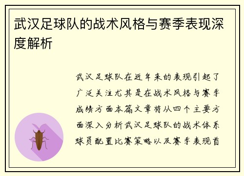 武汉足球队的战术风格与赛季表现深度解析